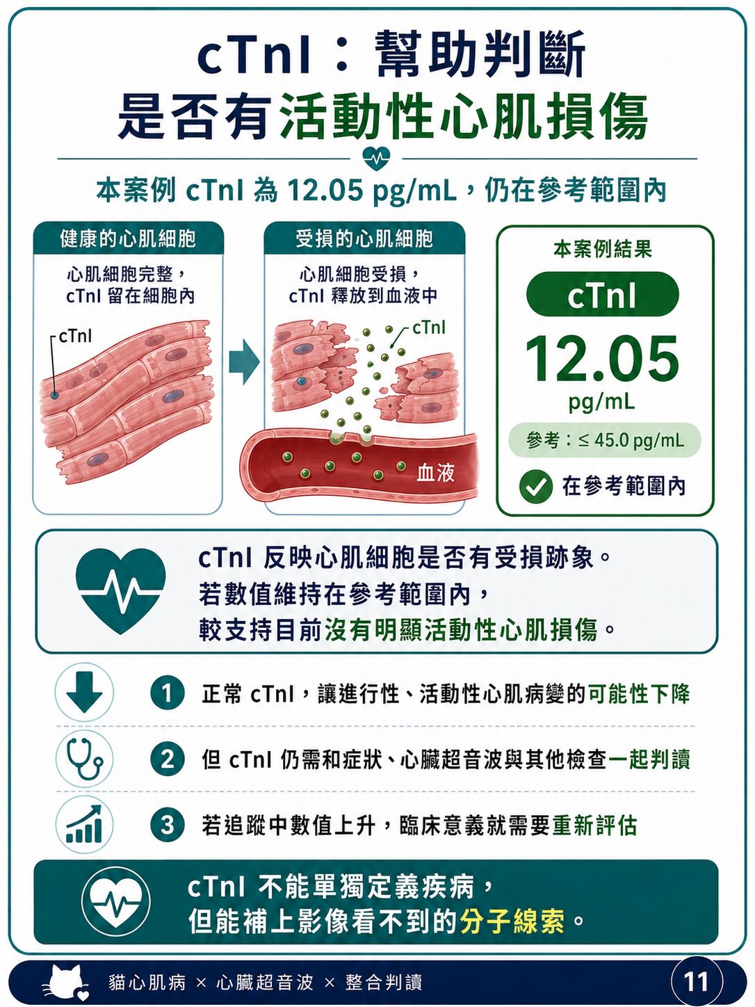 貓 HCM｜輕微心肌增厚與表現型圖卡 11：cTnI：幫助判斷是否有活動性心肌損傷