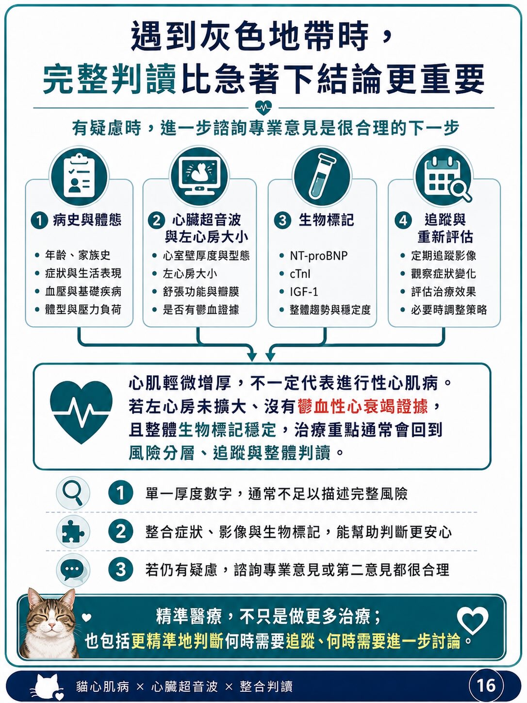 貓 HCM｜輕微心肌增厚與表現型圖卡 16：遇到灰色地帶時，完整判讀比急著下結論更重要