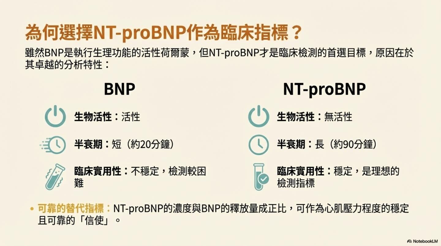 解讀心臟的語言：NT-proBNP 的完整生理學指南圖卡 6