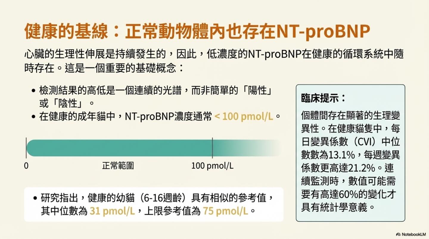 解讀心臟的語言：NT-proBNP 的完整生理學指南圖卡 7