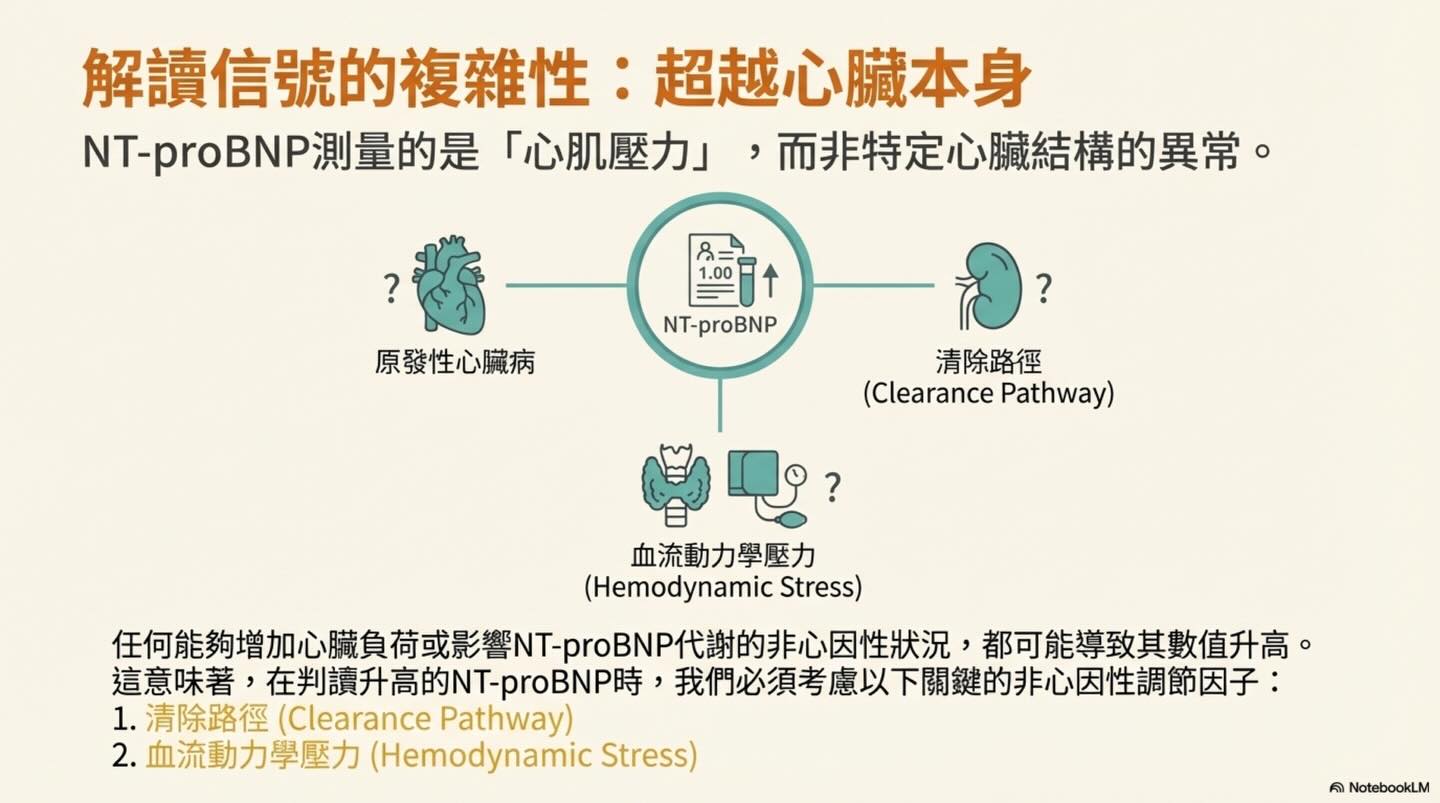 解讀心臟的語言：NT-proBNP 的完整生理學指南圖卡 9