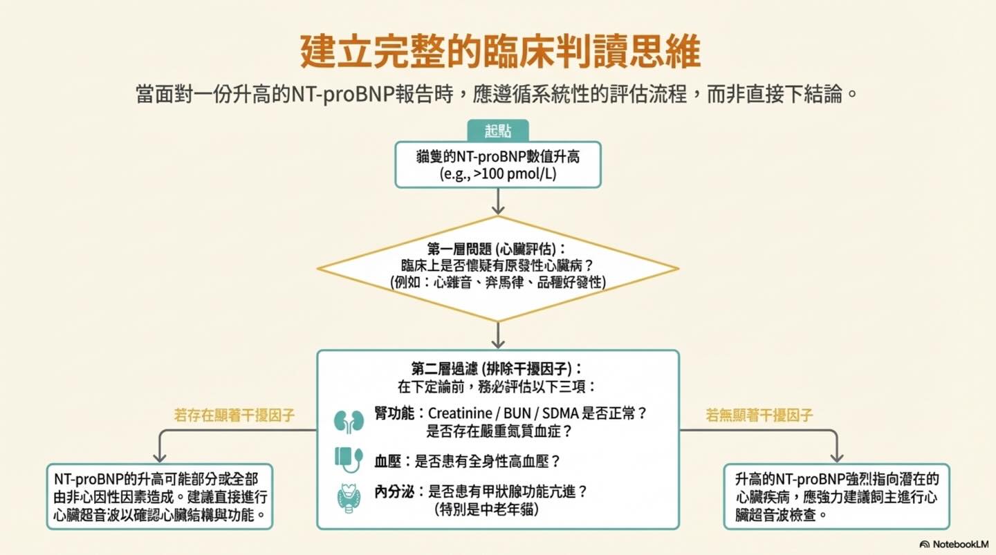 解讀心臟的語言：NT-proBNP 的完整生理學指南圖卡 13