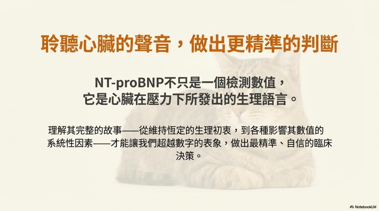 解讀心臟的語言：NT-proBNP 的完整生理學指南圖卡 15