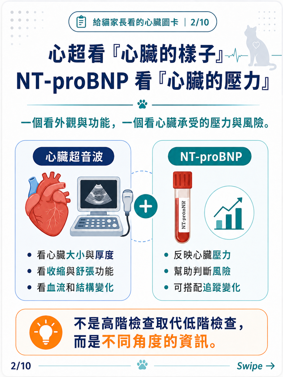 貓咪 NT-proBNP 家長版圖卡 2：心超看心臟的樣子，NT-proBNP 看心臟的壓力