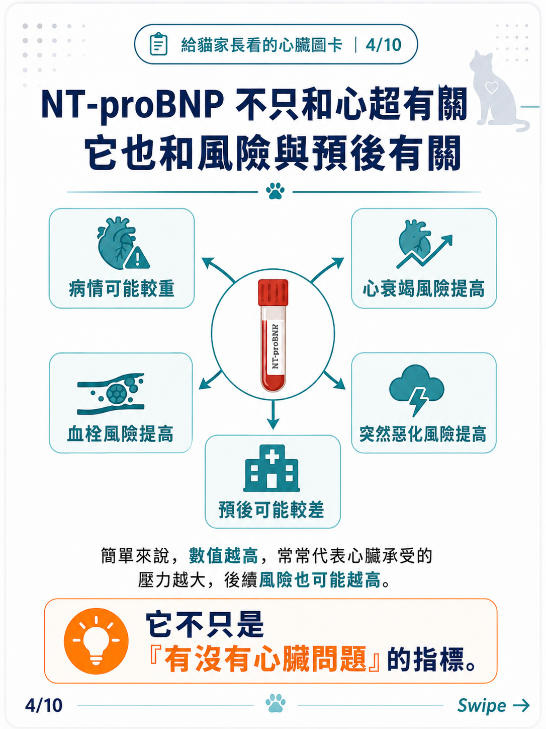 貓咪 NT-proBNP 家長版圖卡 4：NT-proBNP 不只和心超有關，也和風險與預後有關