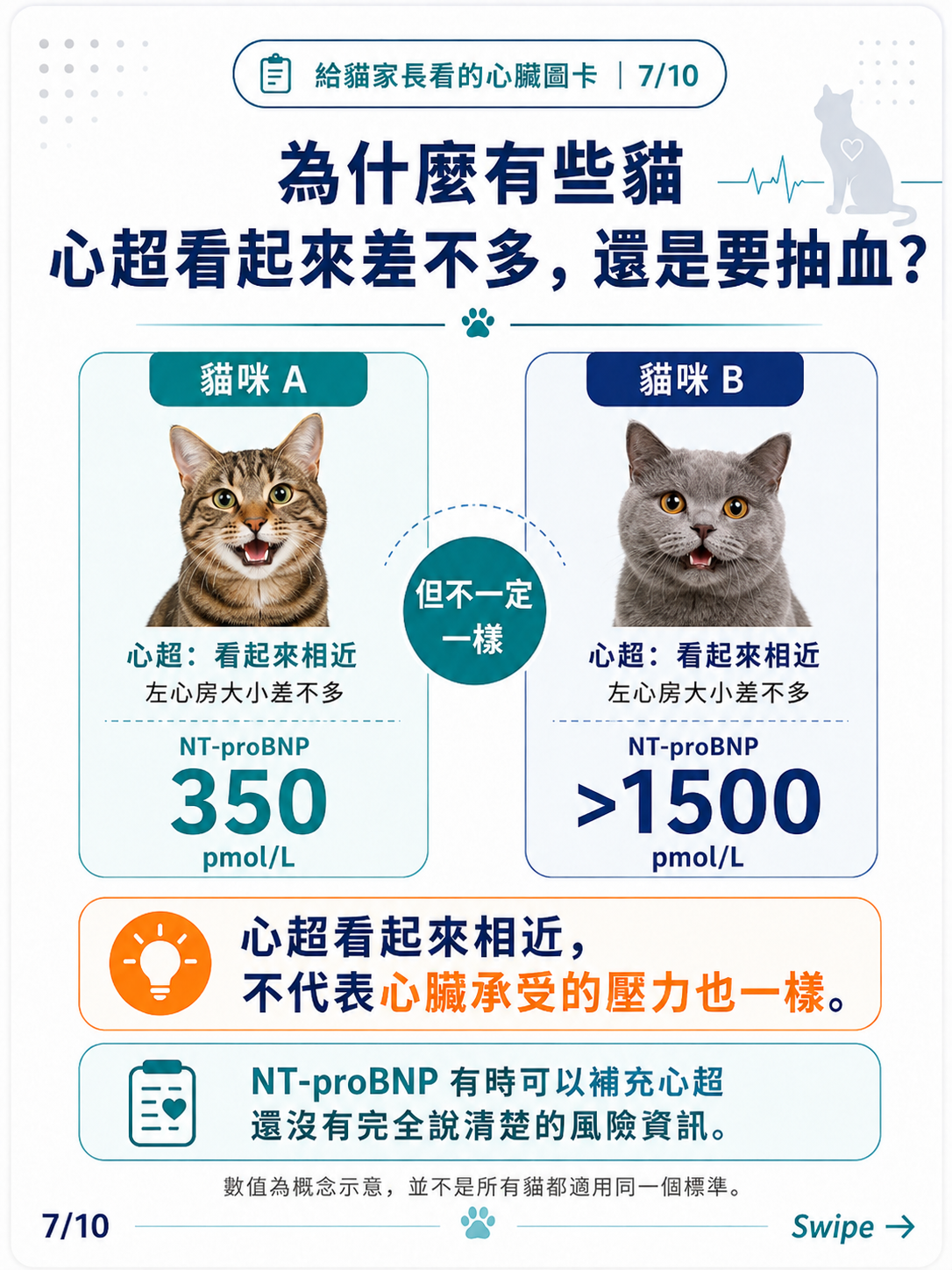貓咪 NT-proBNP 家長版圖卡 7：心超看起來差不多，為什麼還要抽血？