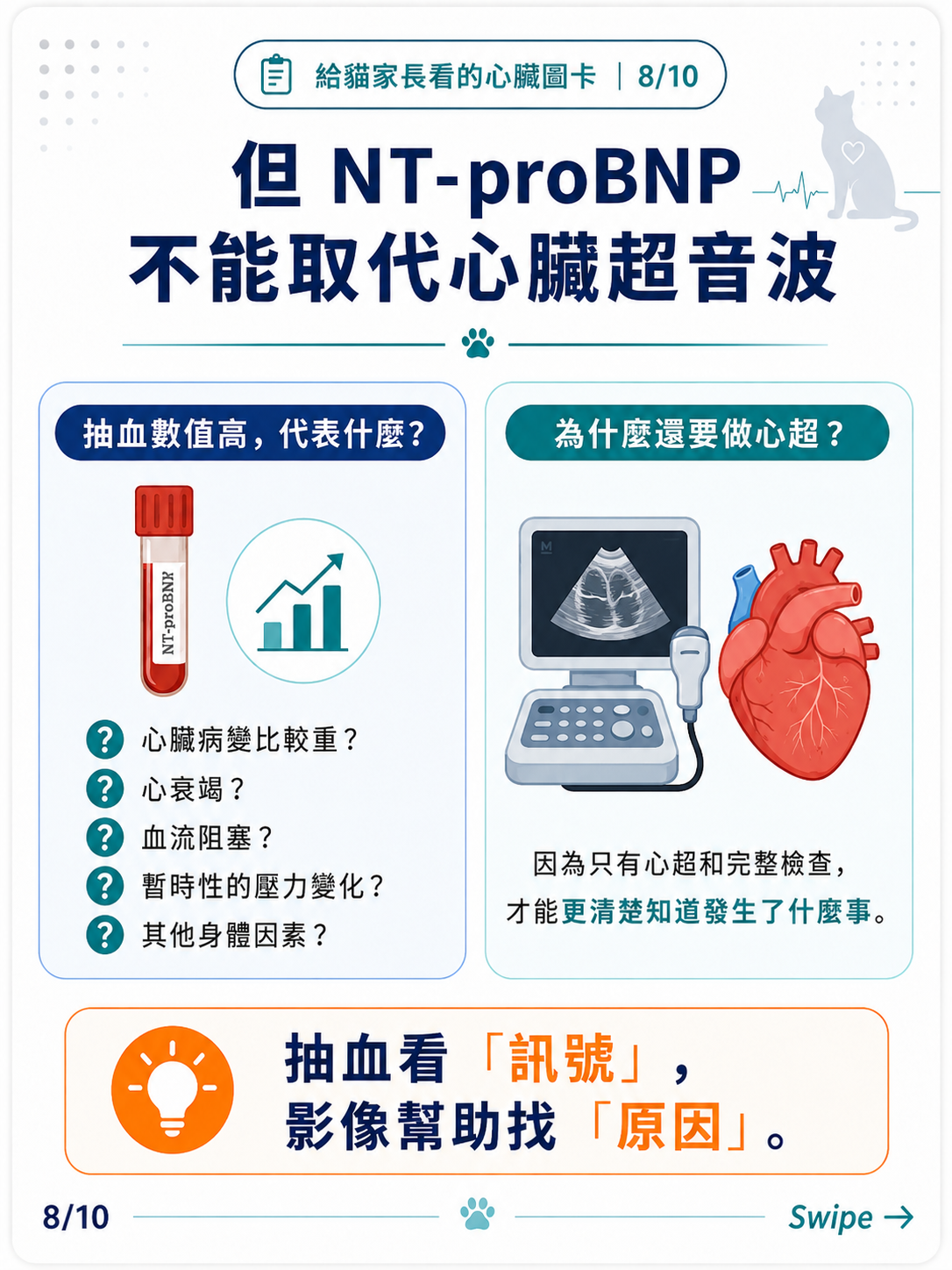 貓咪 NT-proBNP 家長版圖卡 8：NT-proBNP 不能取代心臟超音波