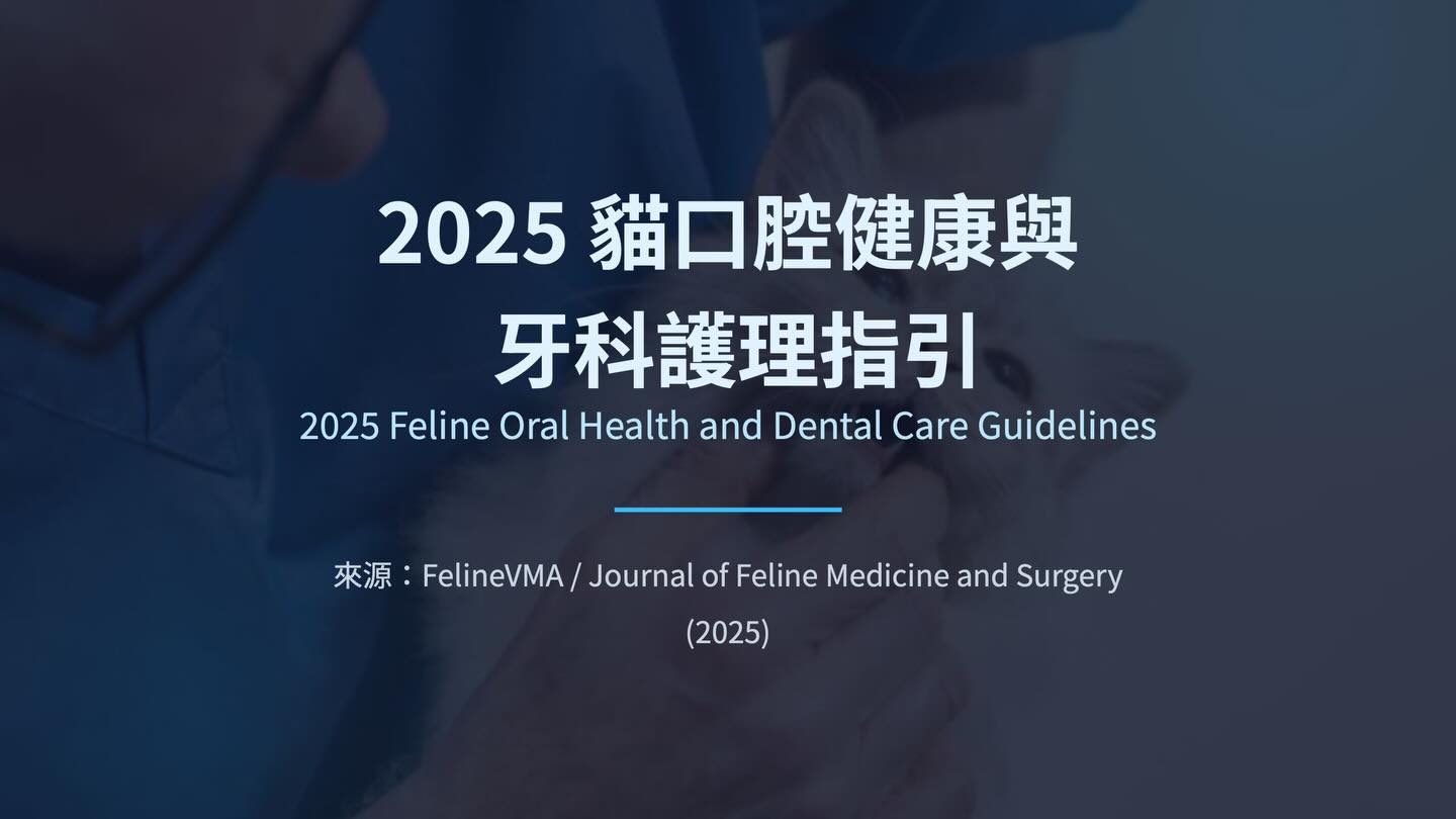 橫式圖卡集合封面：2025 貓口腔健康與牙科護理指引