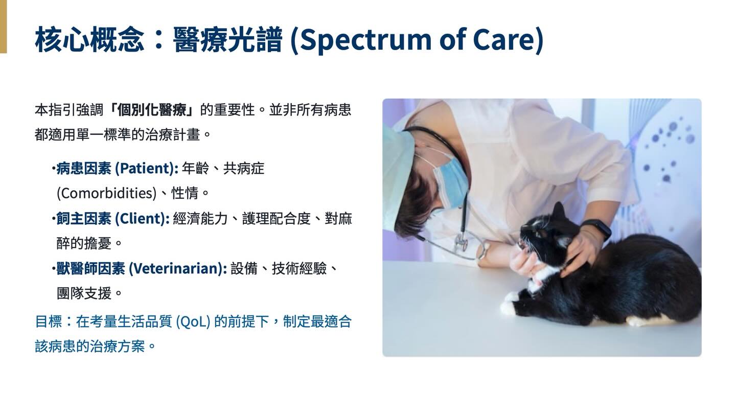2025 貓口腔健康與牙科護理指引圖卡 2