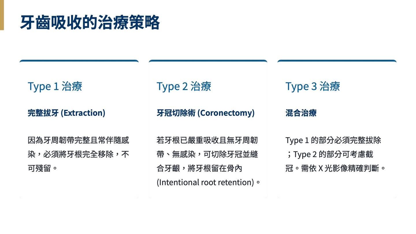 2025 貓口腔健康與牙科護理指引圖卡 11