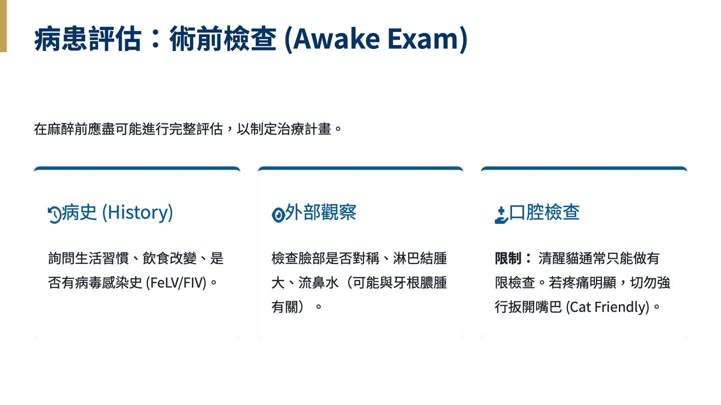 2025 貓口腔健康與牙科護理指引圖卡 13