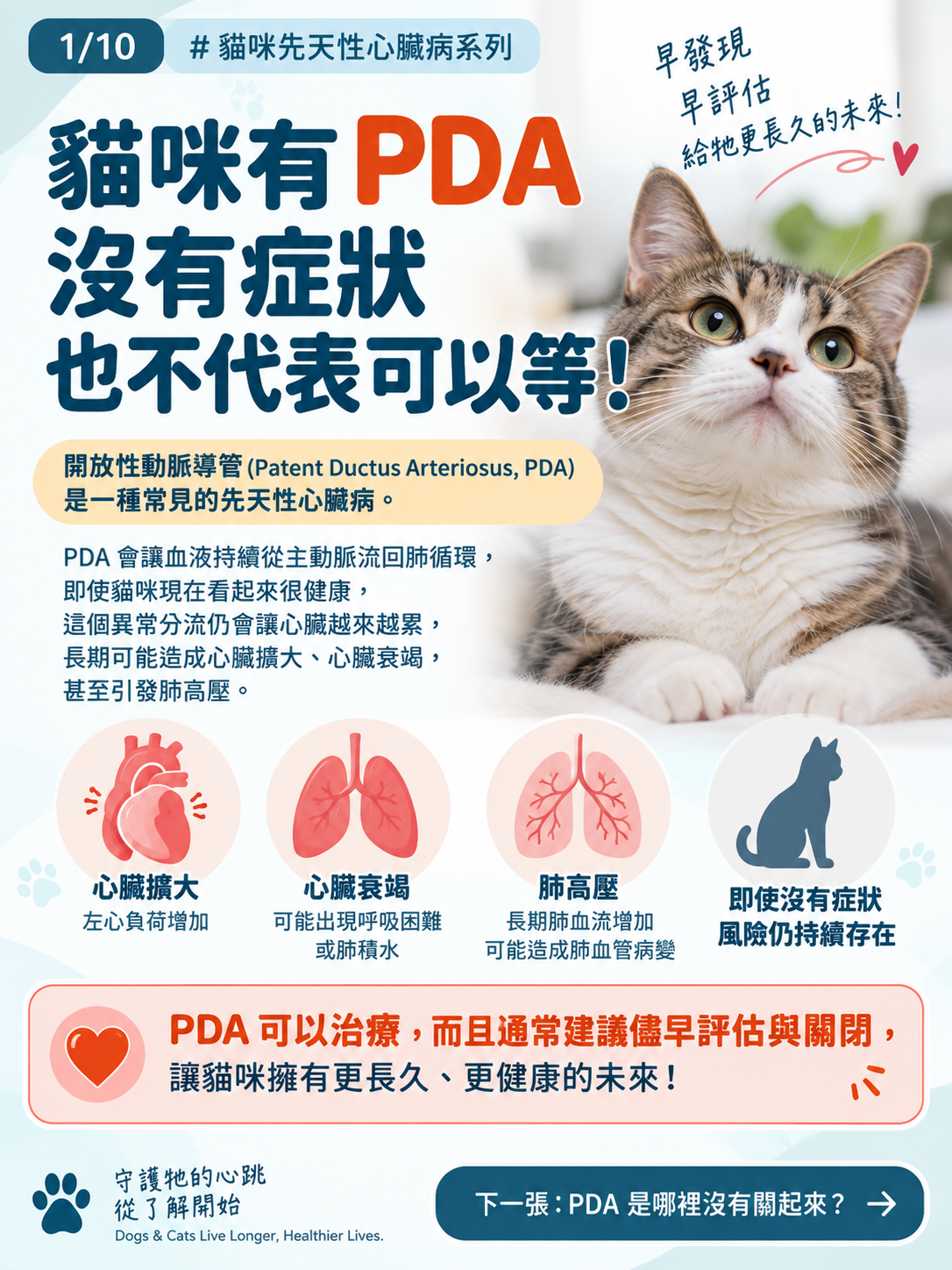 貓咪 PDA|為什麼建議儘早關閉?封面圖卡