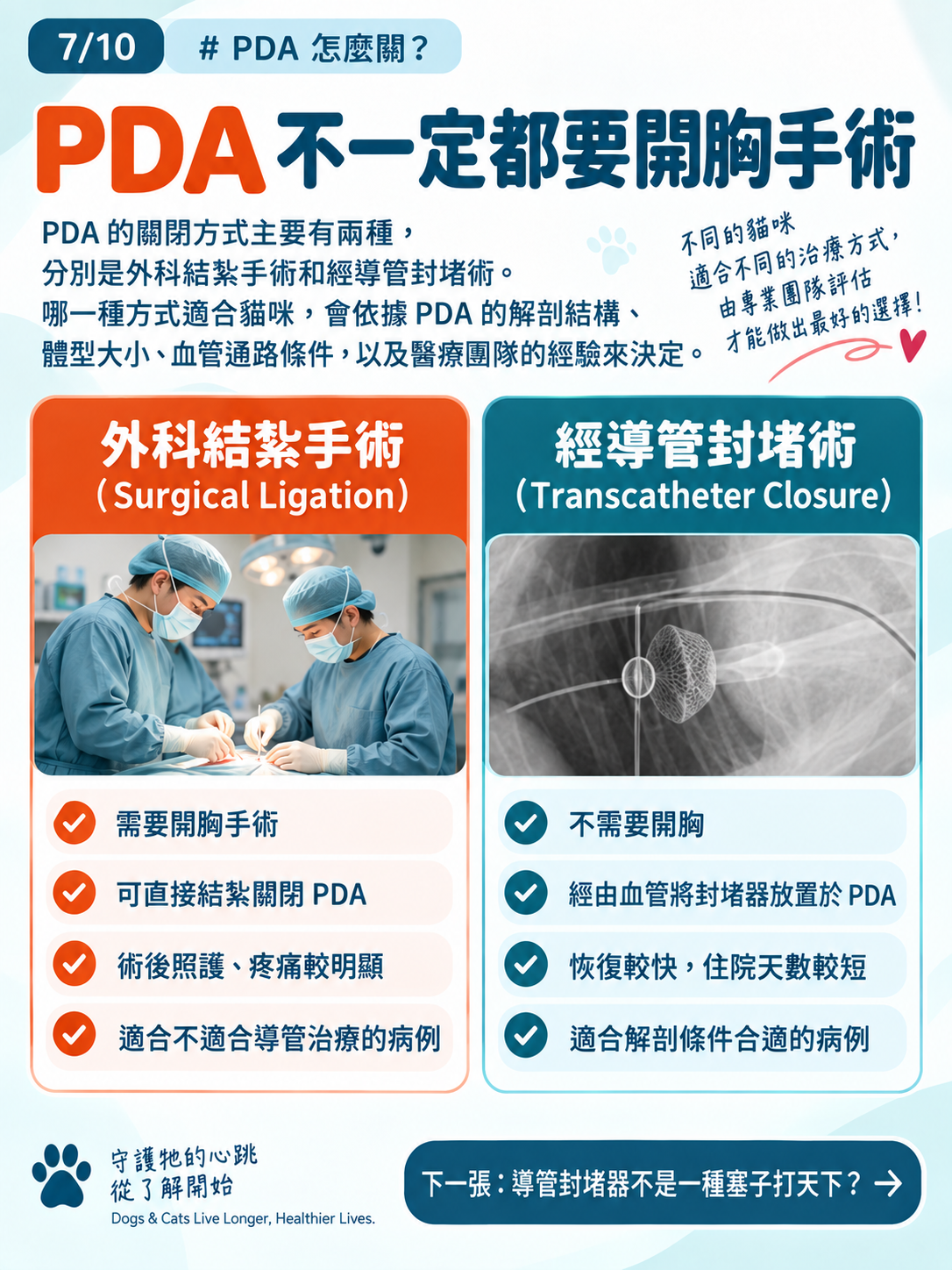 貓咪 PDA｜為什麼建議儘早關閉？，第 7 張：PDA治療方式 手術與導管封堵