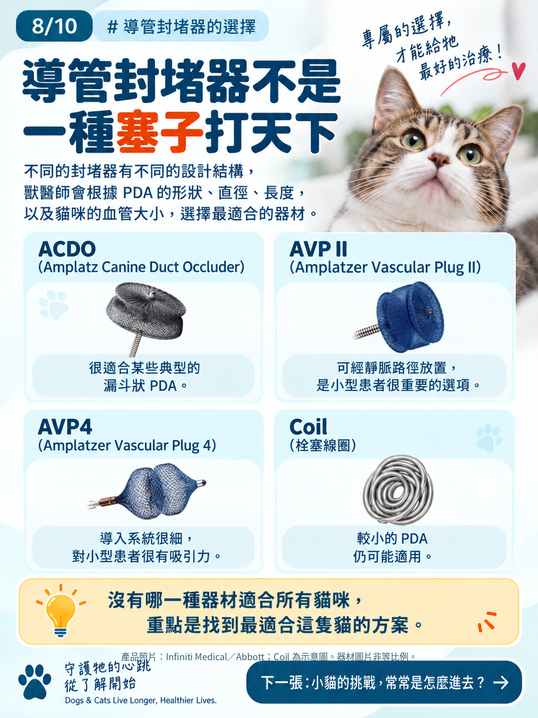 貓咪 PDA｜為什麼建議儘早關閉？，第 8 張：封堵器選擇 原始產品照片校正版