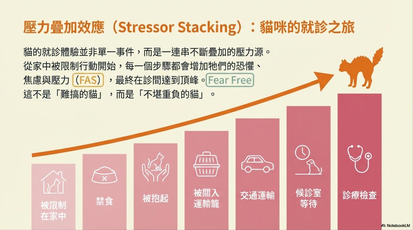 從貓的視角出發：Fear Free 與低壓力醫療照護的核心圖卡 2