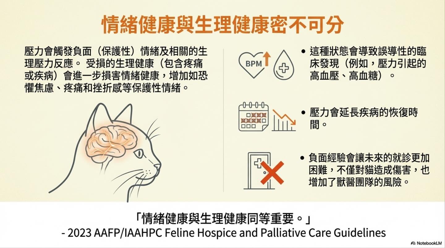 從貓的視角出發：Fear Free 與低壓力醫療照護的核心圖卡 3