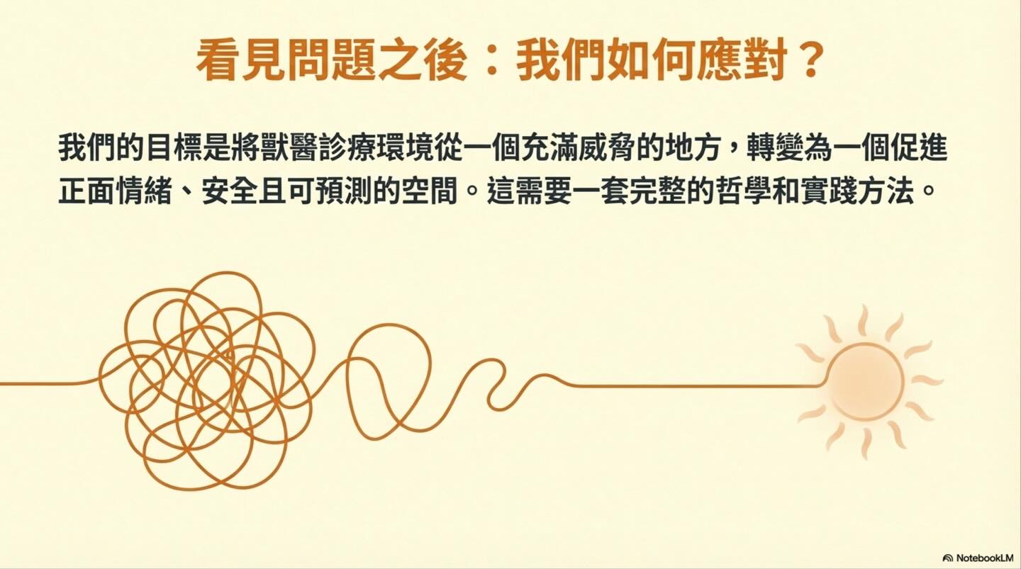 從貓的視角出發：Fear Free 與低壓力醫療照護的核心圖卡 7