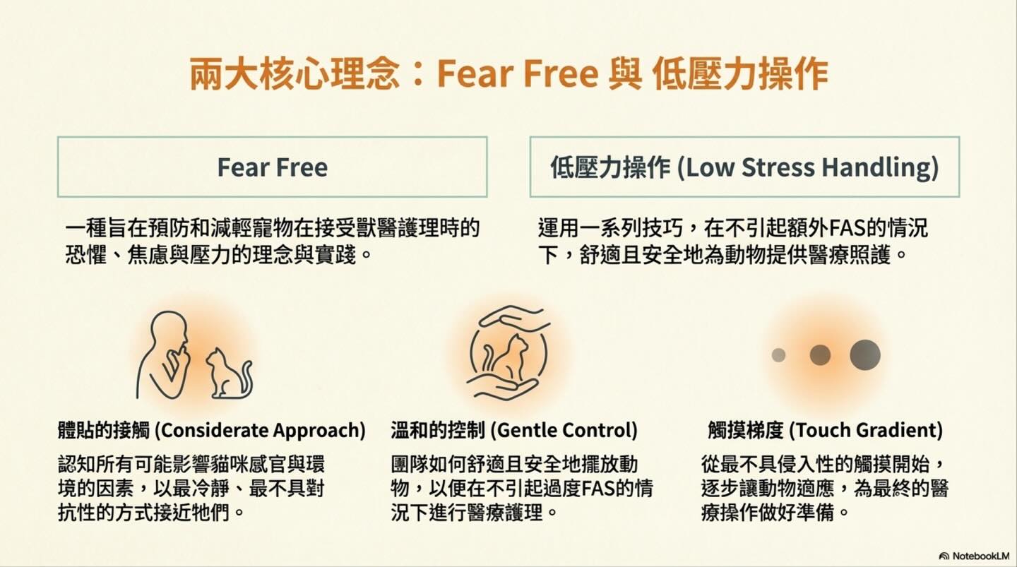 從貓的視角出發：Fear Free 與低壓力醫療照護的核心圖卡 8