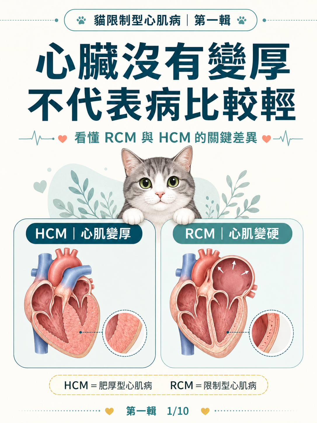 手機直式圖卡集合封面：貓限制型心肌病 RCM｜與 HCM 的差異、臨床警訊與預後