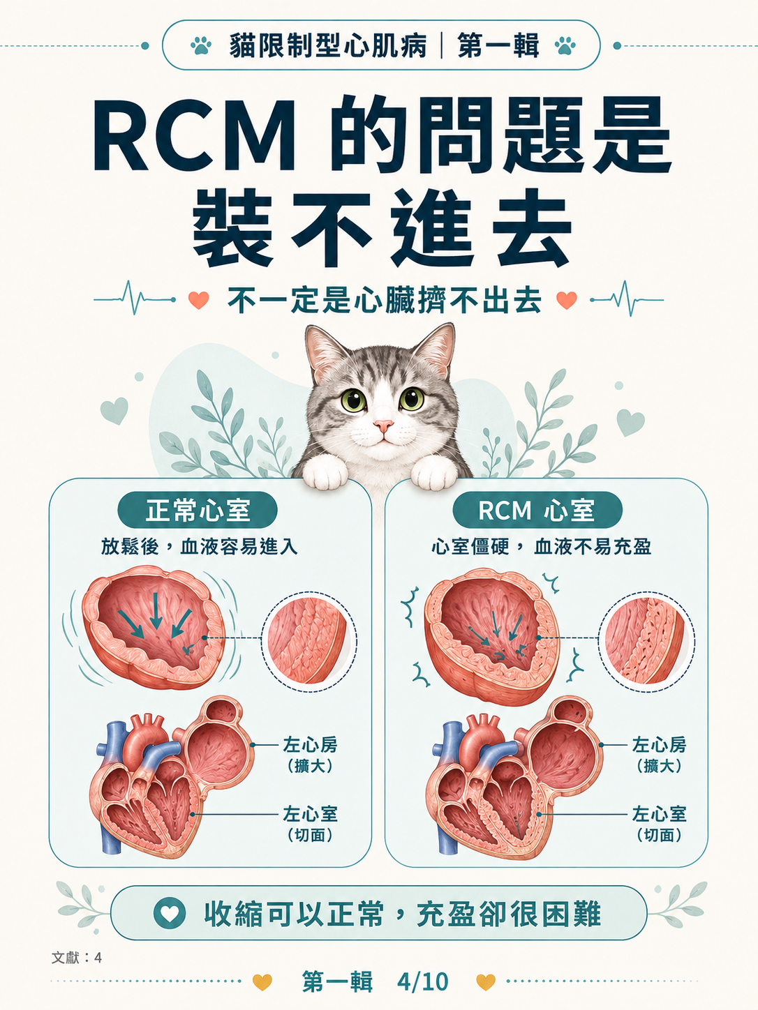 貓 RCM 圖卡 4：RCM的問題是裝不進去