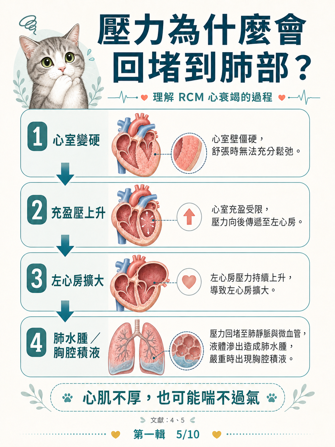 貓 RCM 圖卡 5：壓力為什麼會回堵到肺部