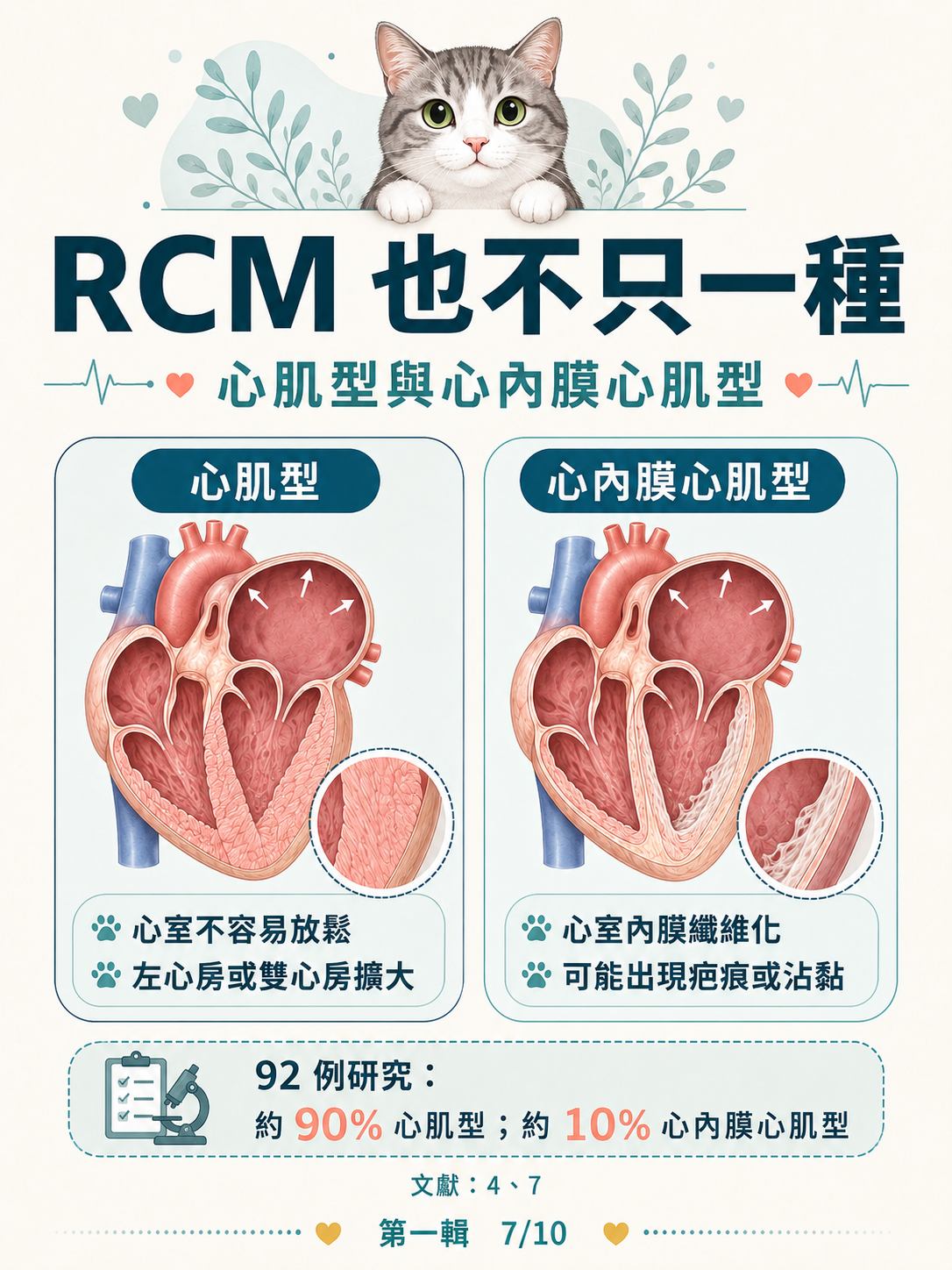 貓 RCM 圖卡 7：RCM也不只一種