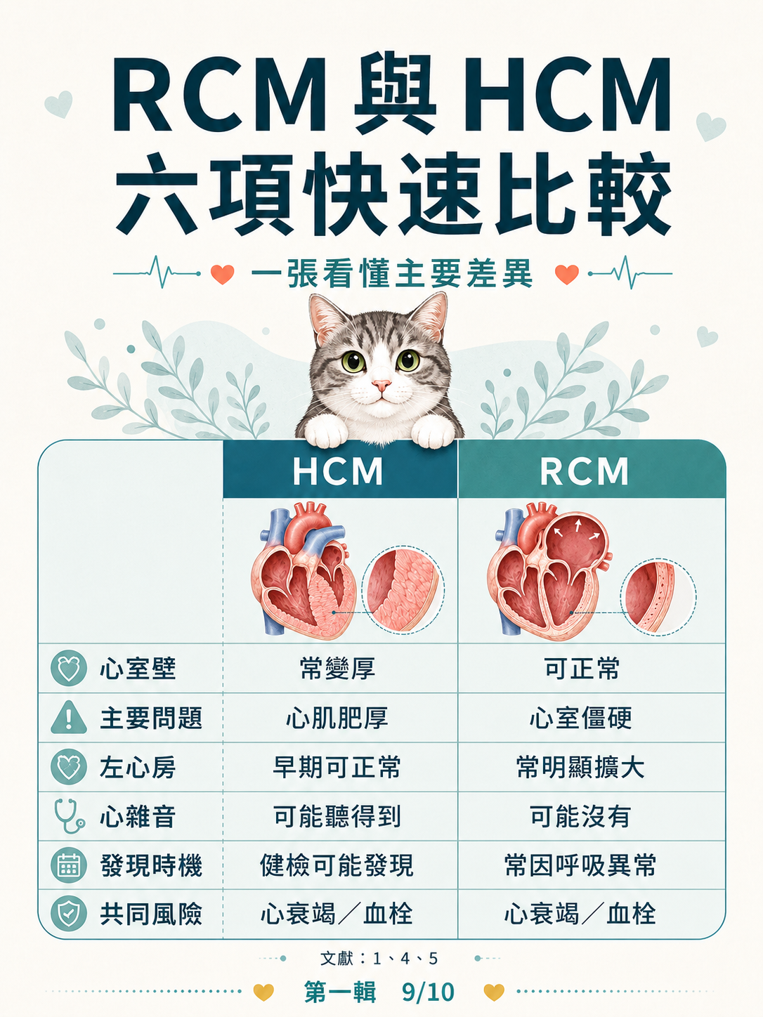 貓 RCM 圖卡 9：RCM與HCM六項快速比較
