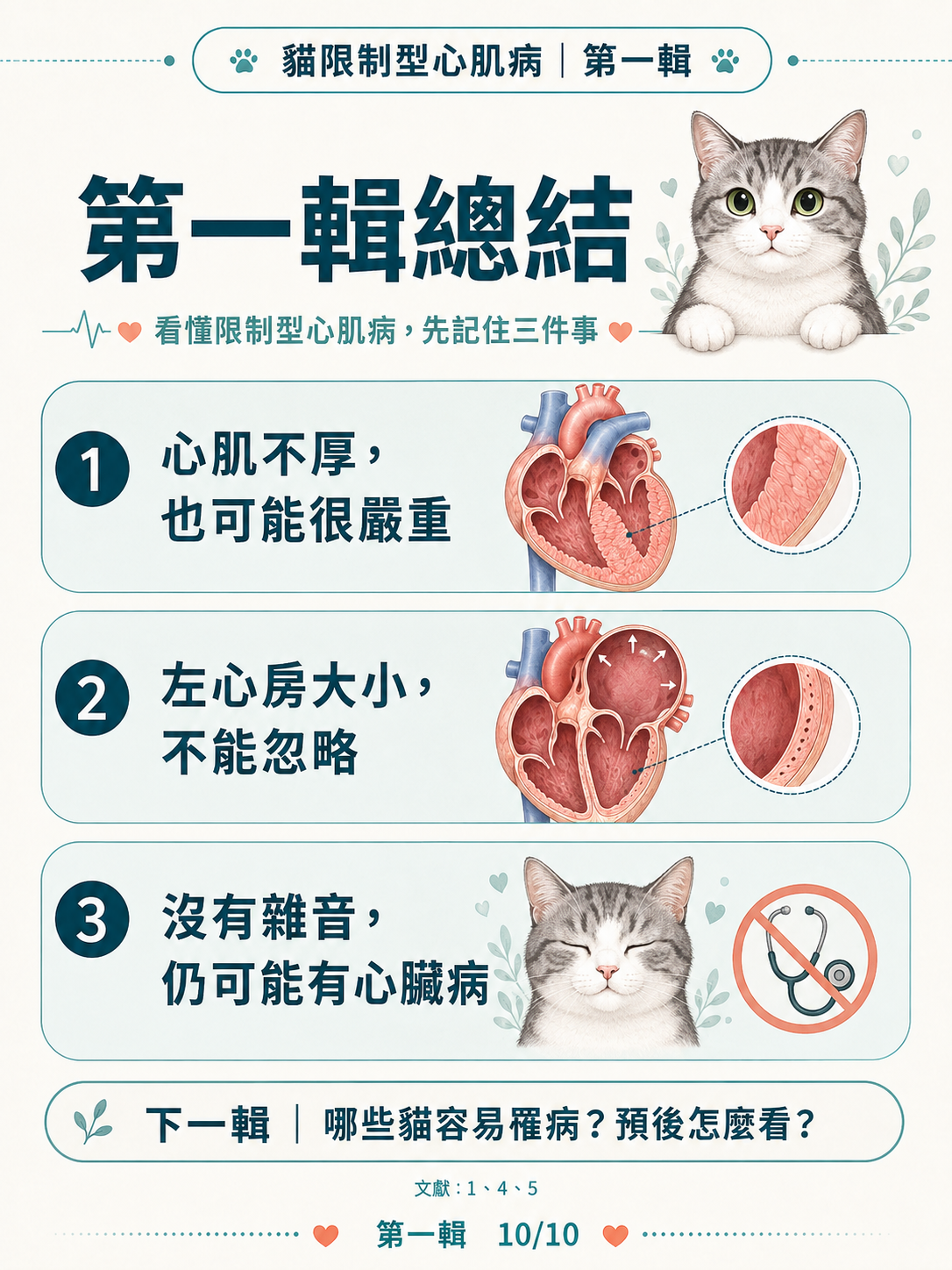 貓 RCM 圖卡 10：第一輯總結