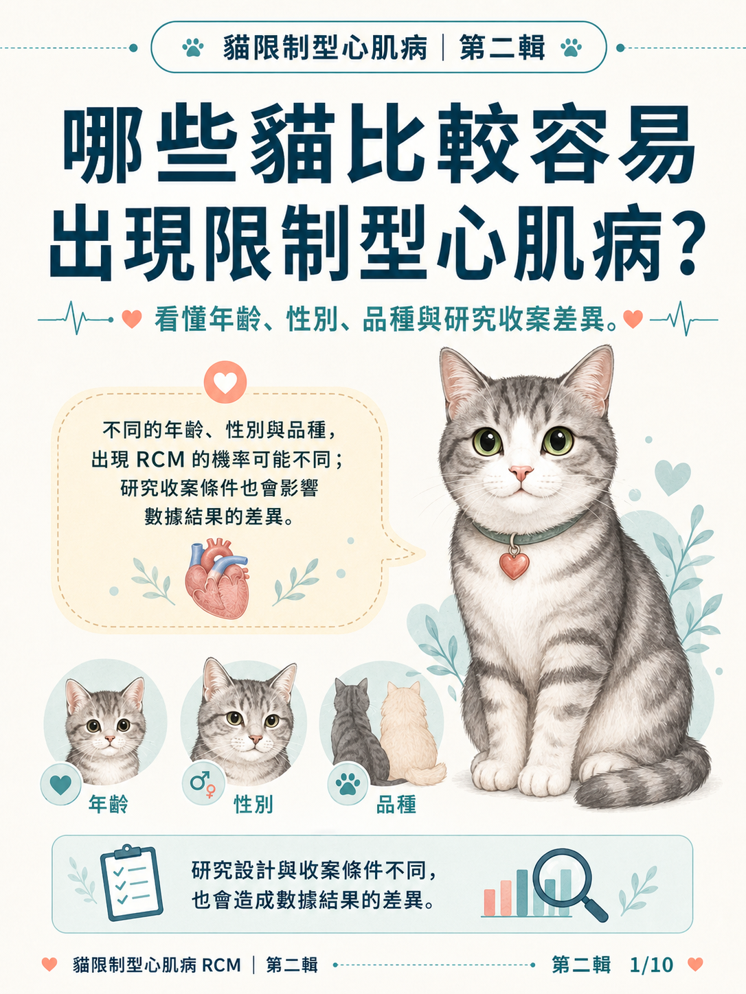 貓 RCM 圖卡 11：哪些貓比較容易出現限制型心肌病