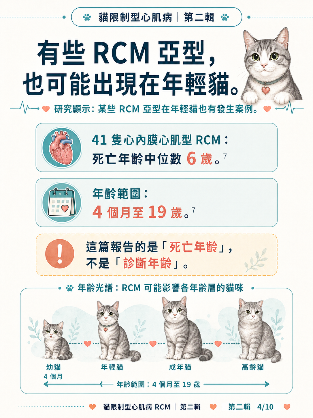 貓 RCM 圖卡 14：有些RCM亞型也可能出現在年輕貓