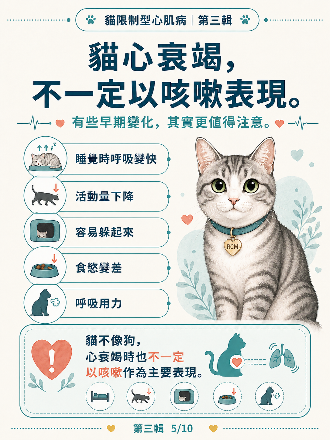 貓 RCM 圖卡 25：貓心衰竭不一定以咳嗽表現