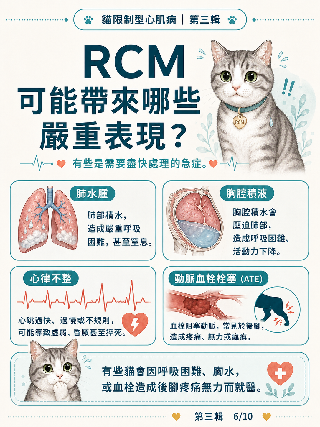 貓 RCM 圖卡 26：RCM可能帶來哪些嚴重表現