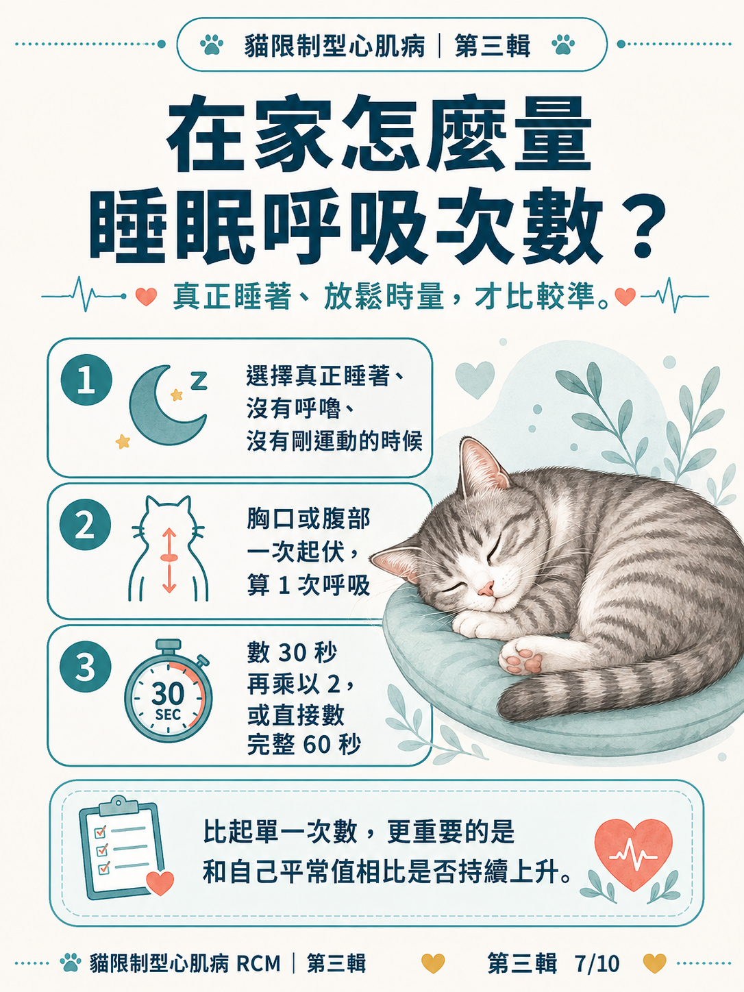 貓 RCM 圖卡 27：在家怎麼量睡眠呼吸次數