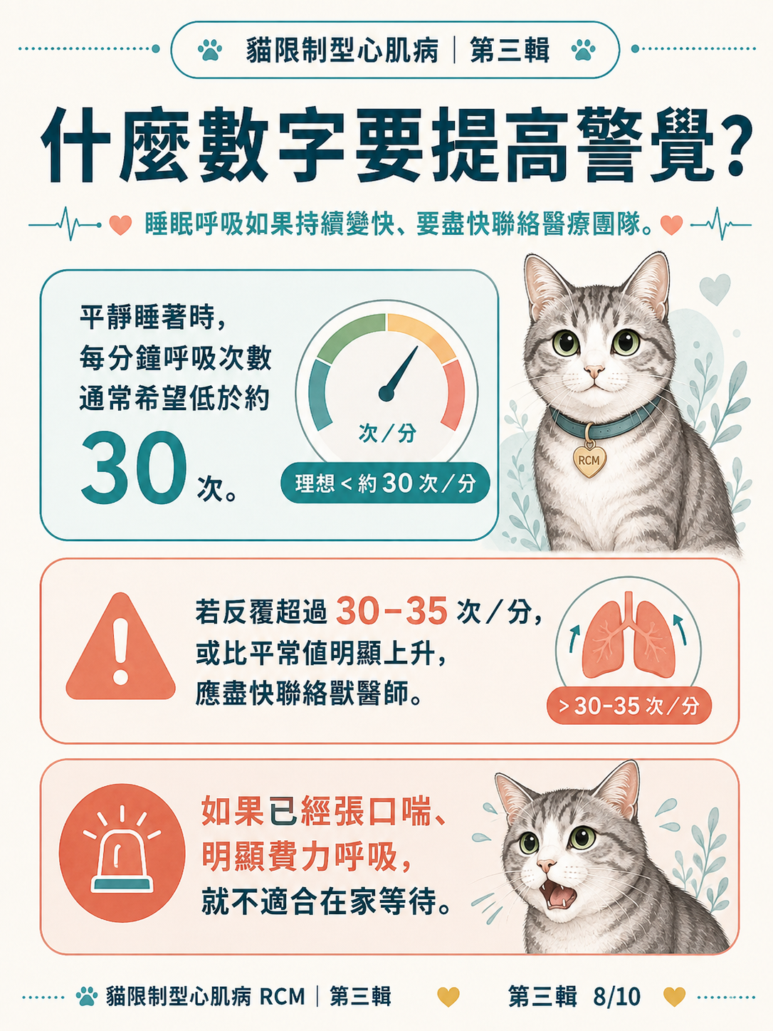 貓 RCM 圖卡 28：什麼數字要提高警覺