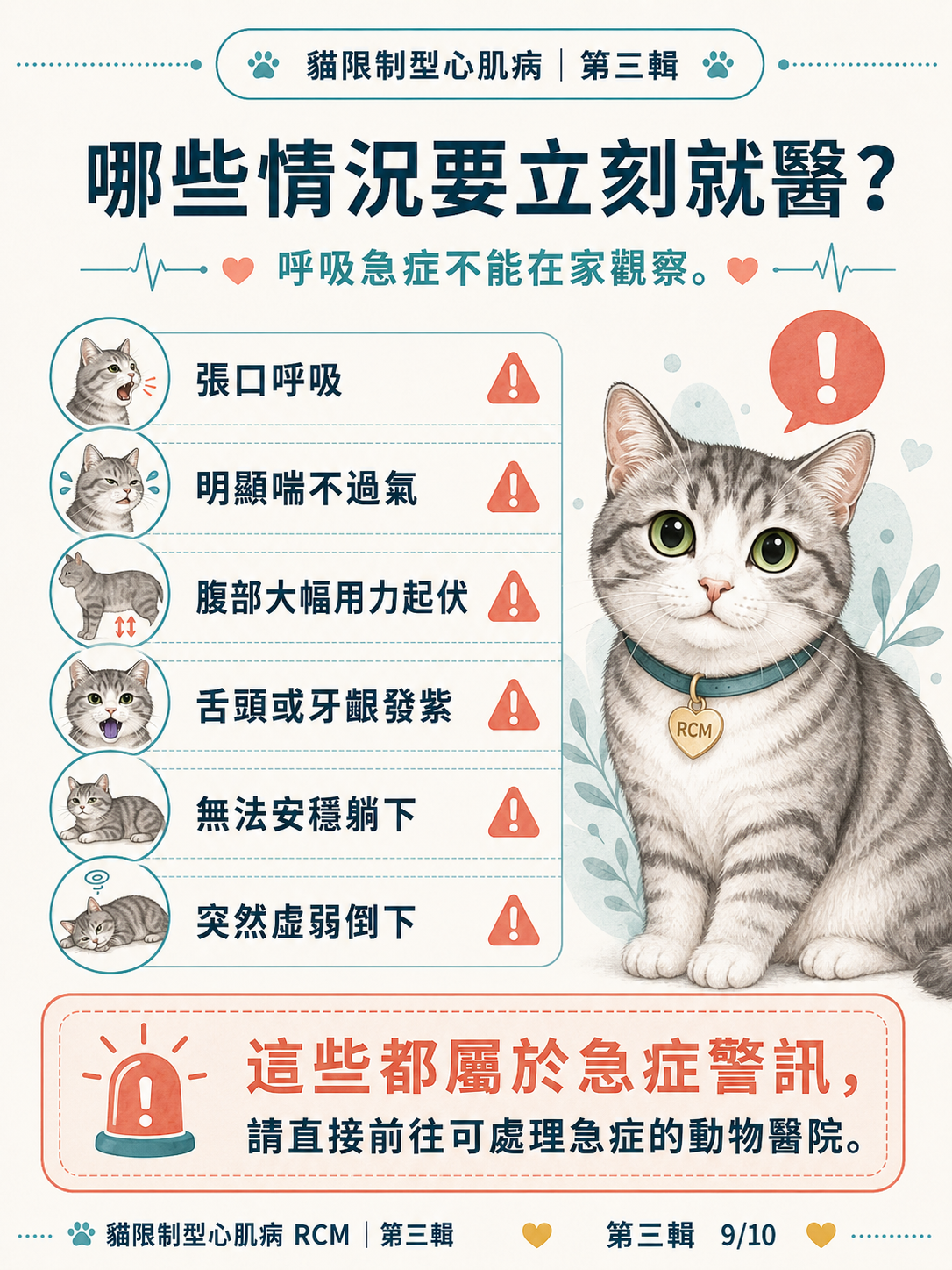 貓 RCM 圖卡 29：哪些情況要立刻就醫