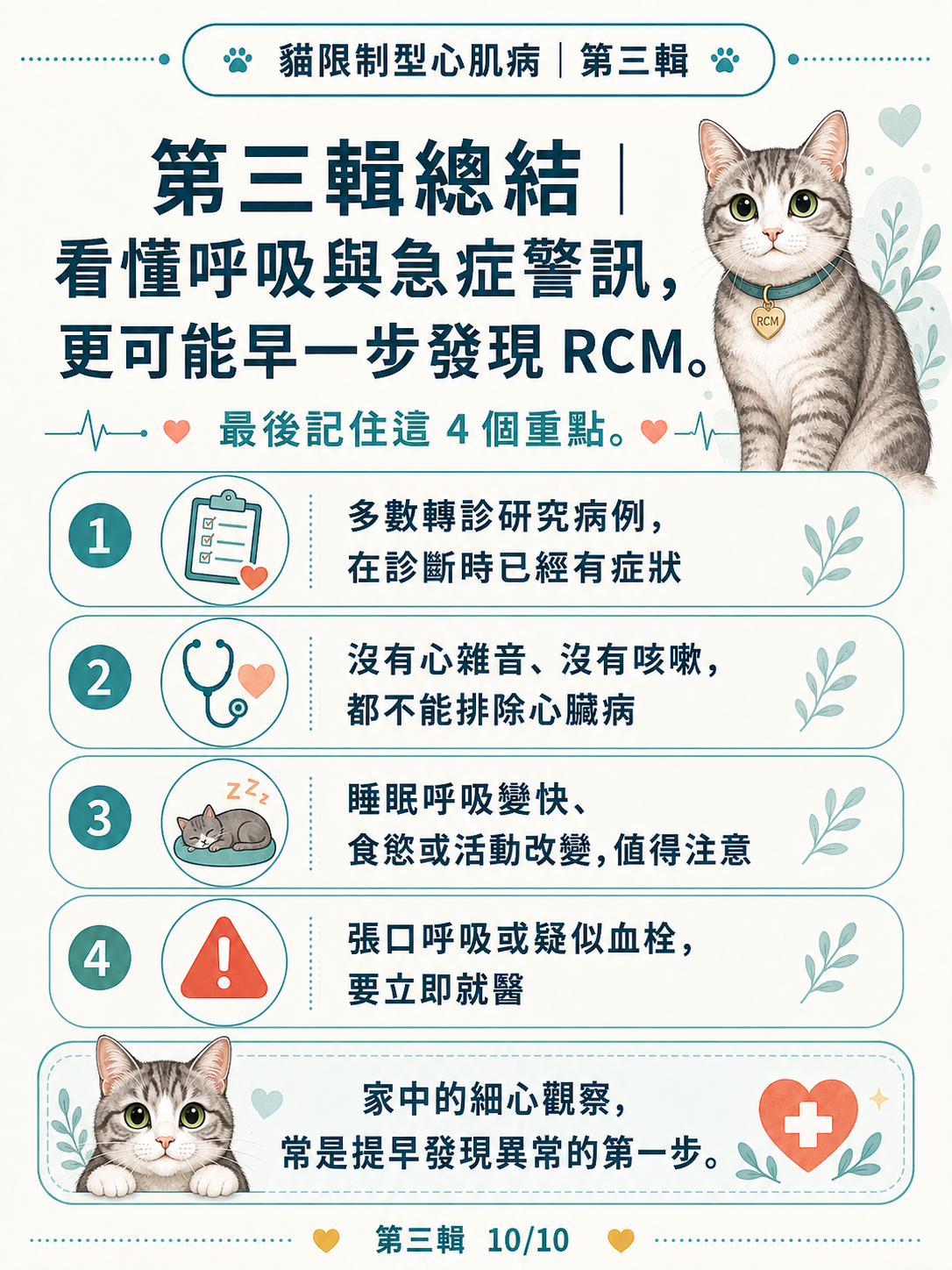 貓 RCM 圖卡 30：第三輯總結 看懂呼吸與急症警訊