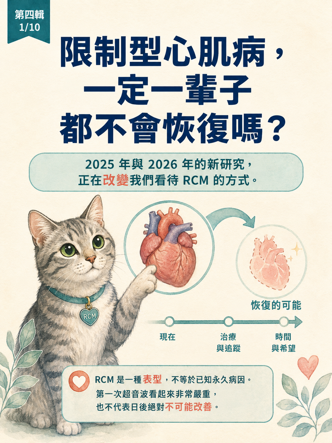貓 RCM 圖卡 31：限制型心肌病一定一輩子都不會恢復嗎