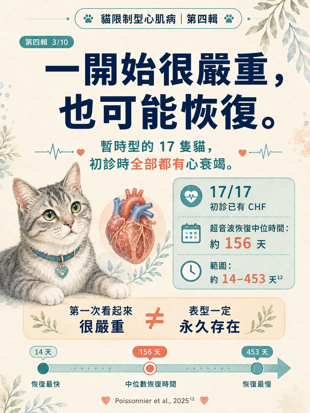 貓 RCM 圖卡 33：一開始很嚴重也可能恢復