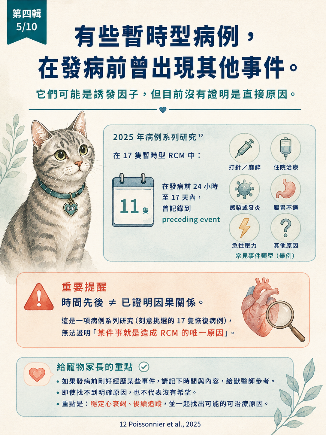 貓 RCM 圖卡 35：發病前曾發生什麼