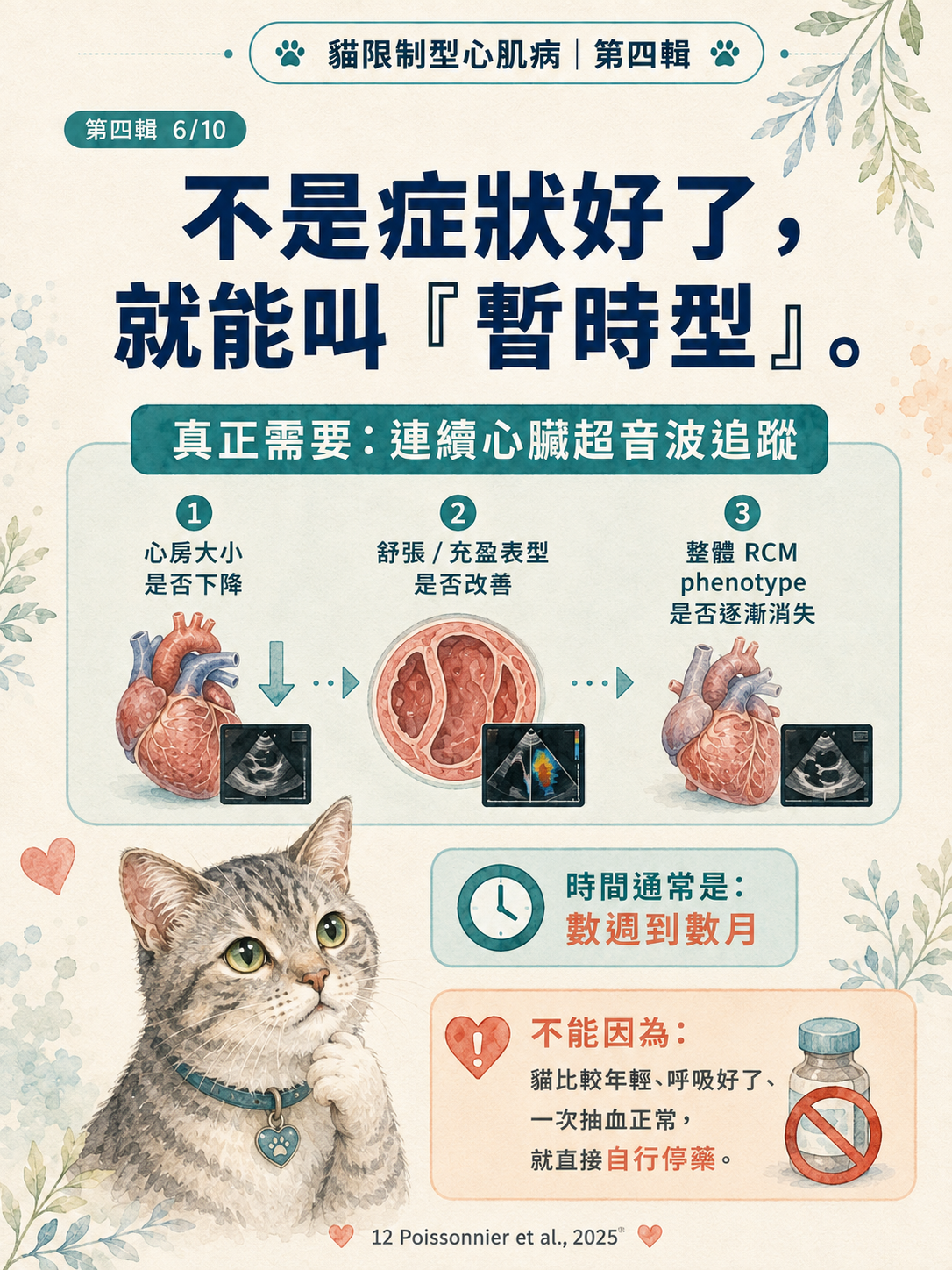 貓 RCM 圖卡 36：怎麼知道是不是真的暫時型