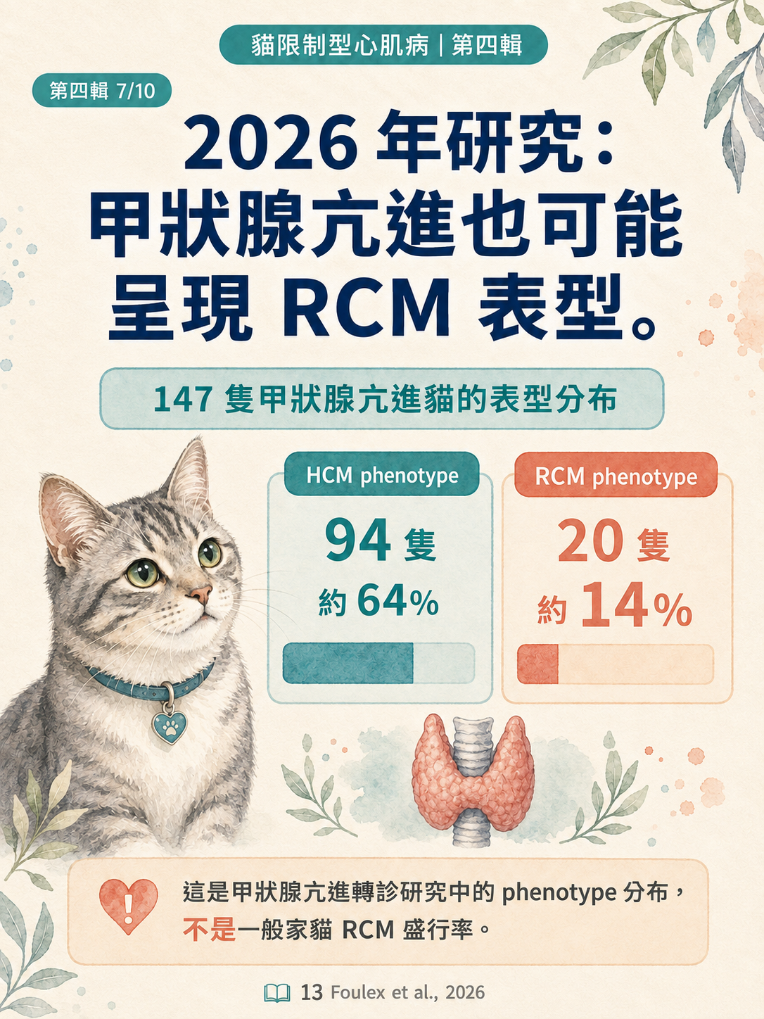 貓 RCM 圖卡 37：甲狀腺亢進也可能呈現RCM表型