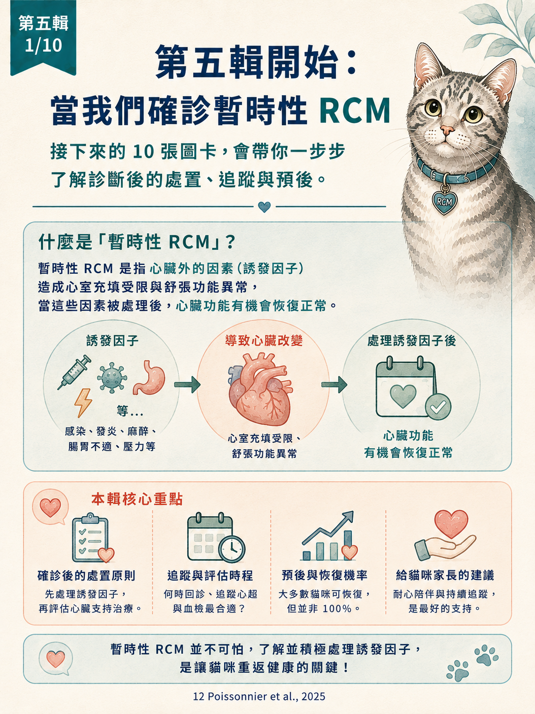 貓 RCM 圖卡 41：當我們確診暫時性RCM