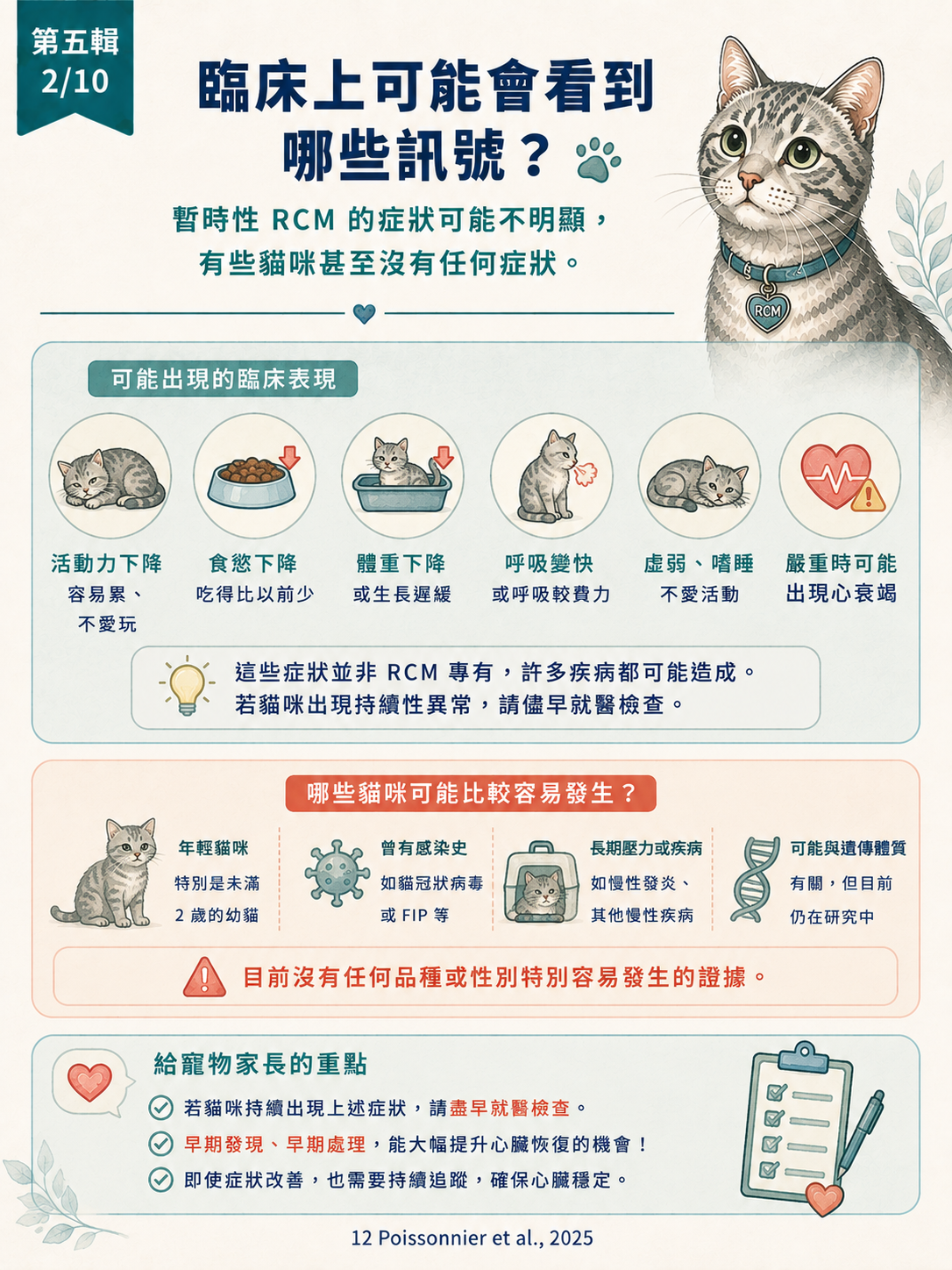 貓 RCM 圖卡 42：臨床上可能會看到哪些訊號