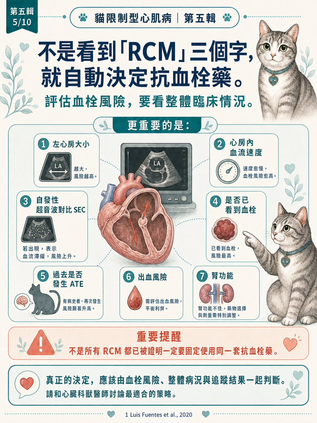 貓 RCM 圖卡 45：不是看到RCM就自動決定抗血栓藥