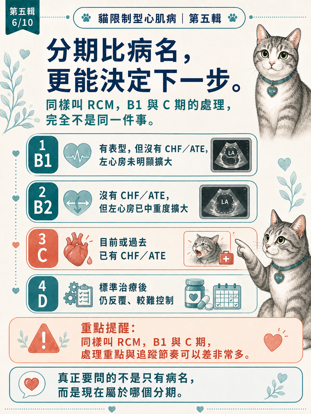 貓 RCM 圖卡 46：分期比病名更能決定下一步