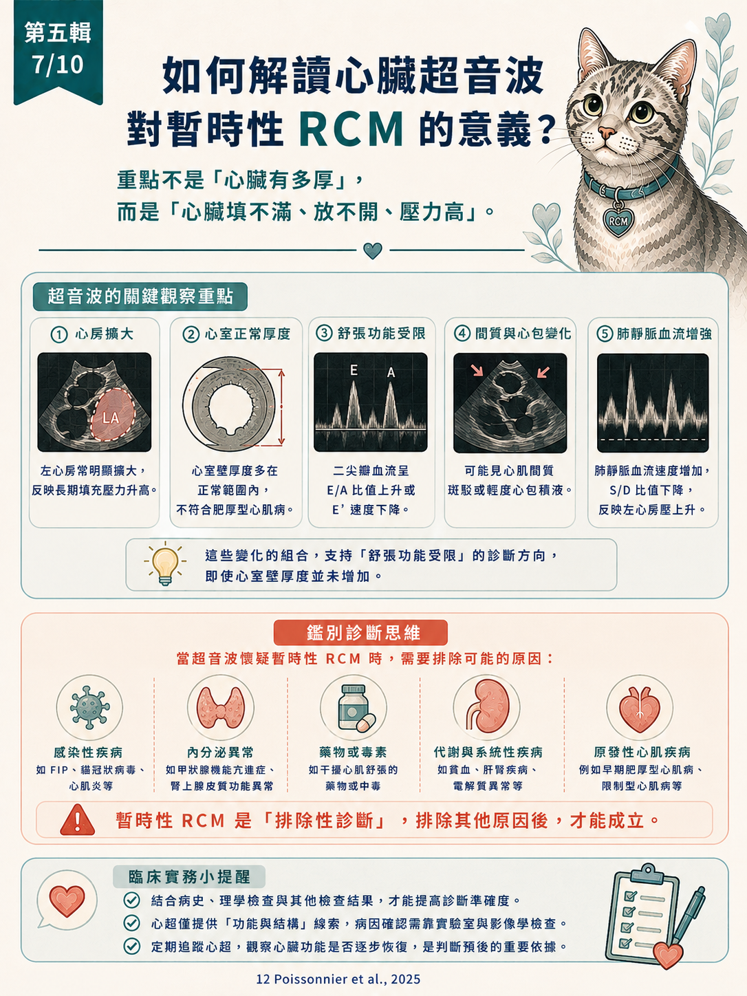 貓 RCM 圖卡 47：如何解讀心臟超音波對暫時性RCM的意義
