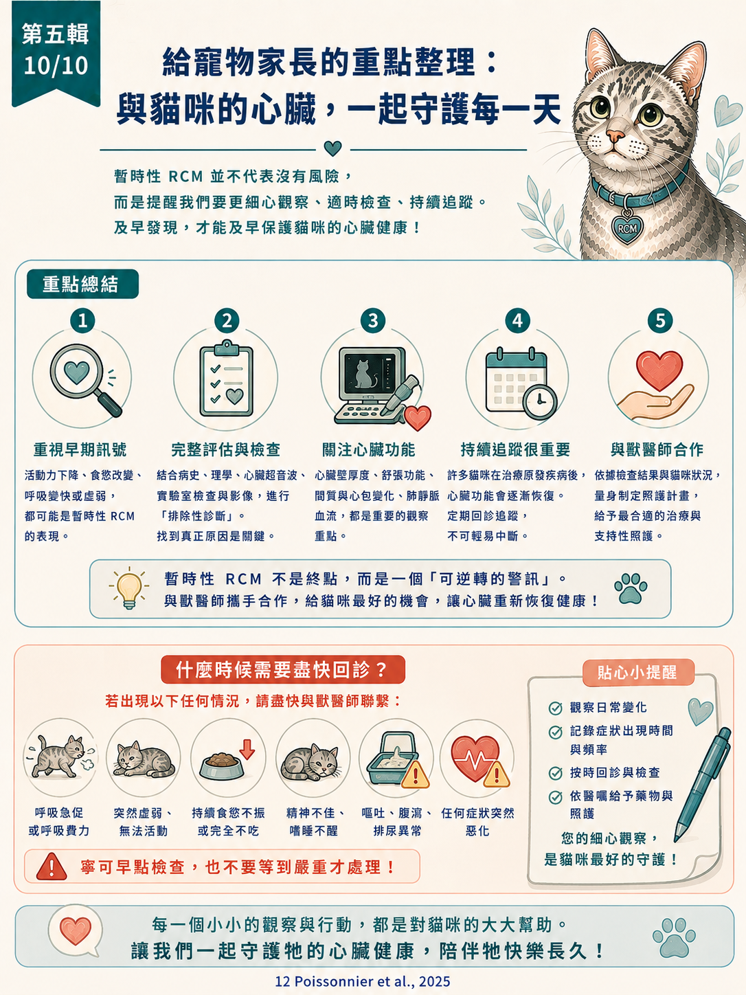 貓 RCM 圖卡 50：與貓咪的心臟一起守護每一天