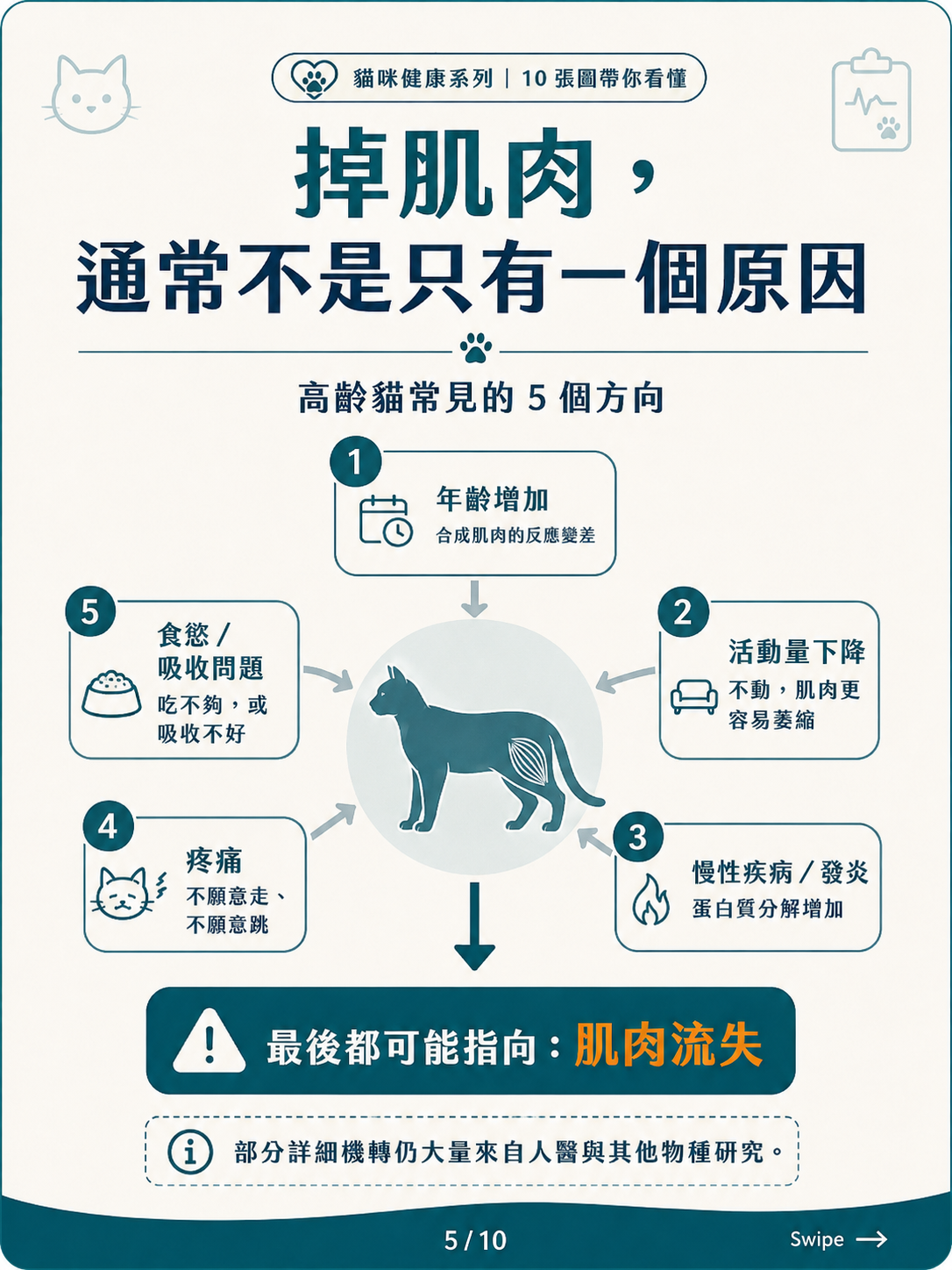 高齡貓的肌少症、惡病質與衰弱圖卡 5：掉肌肉通常不是只有一個原因