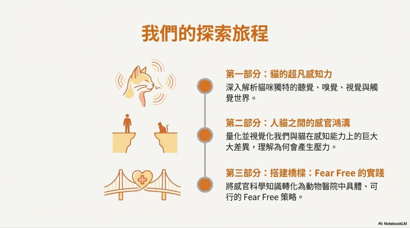 進入貓的感官宇宙：打造真正的 Fear Free 環境圖卡 3