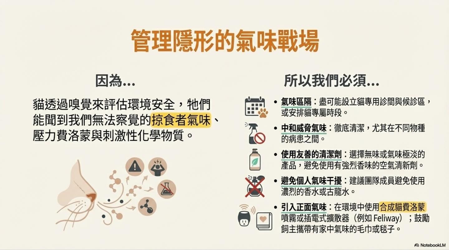 進入貓的感官宇宙：打造真正的 Fear Free 環境圖卡 12